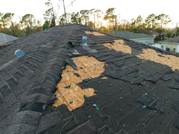 Best Roof Insulation Installation  in Rocky River, OH